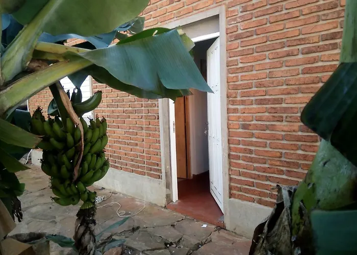 El Patio De Marta