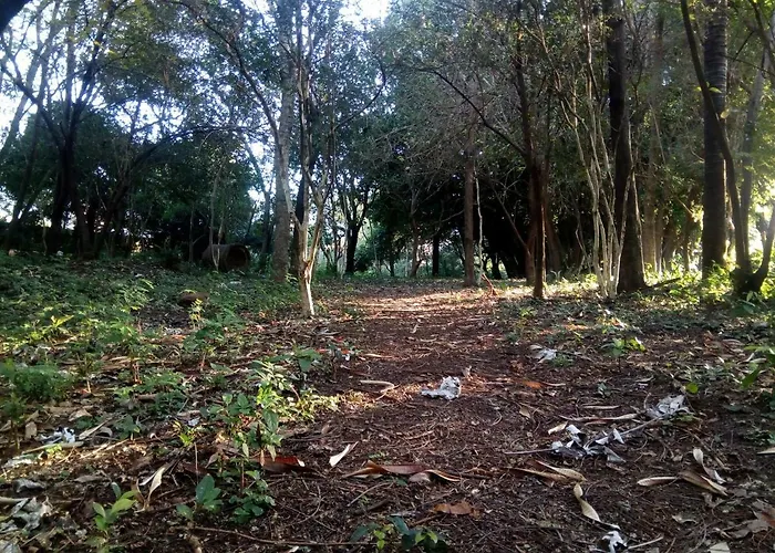 El Patio De Marta