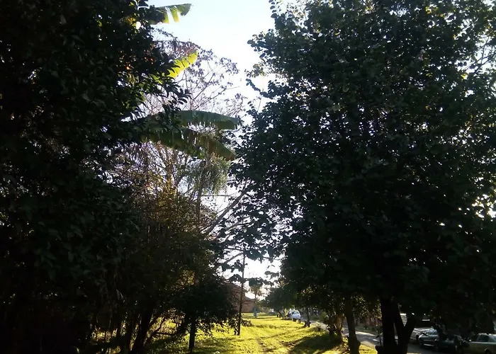 El Patio De Marta